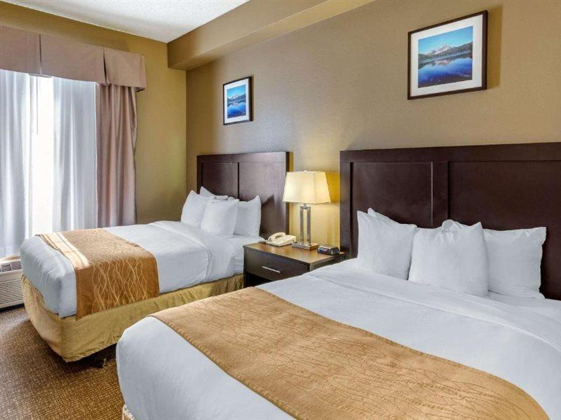 Comfort Inn Evanston I-80 Bagian luar foto